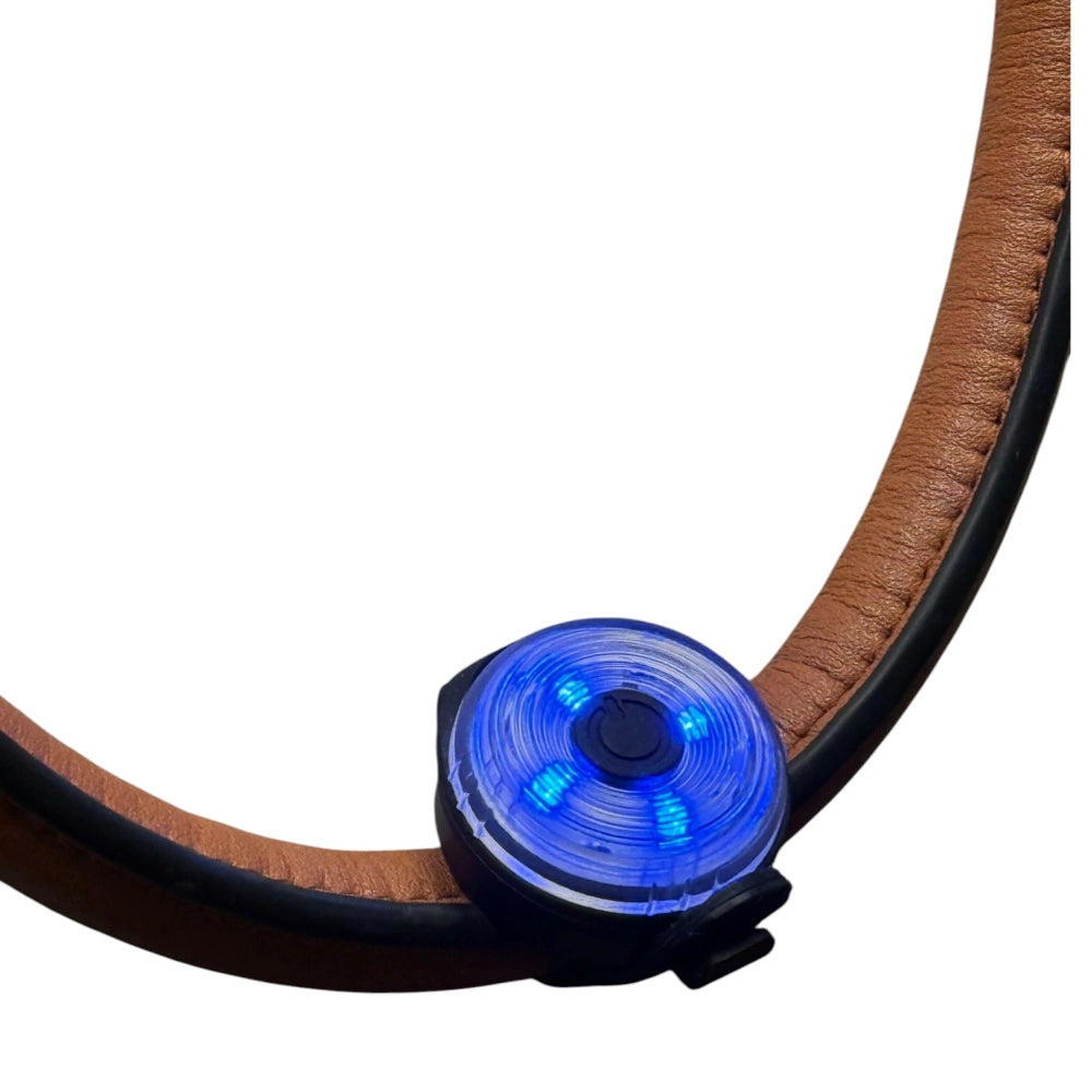 OVZLA Dog LED Light