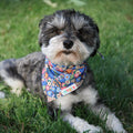 OVZLA Dog Bandana