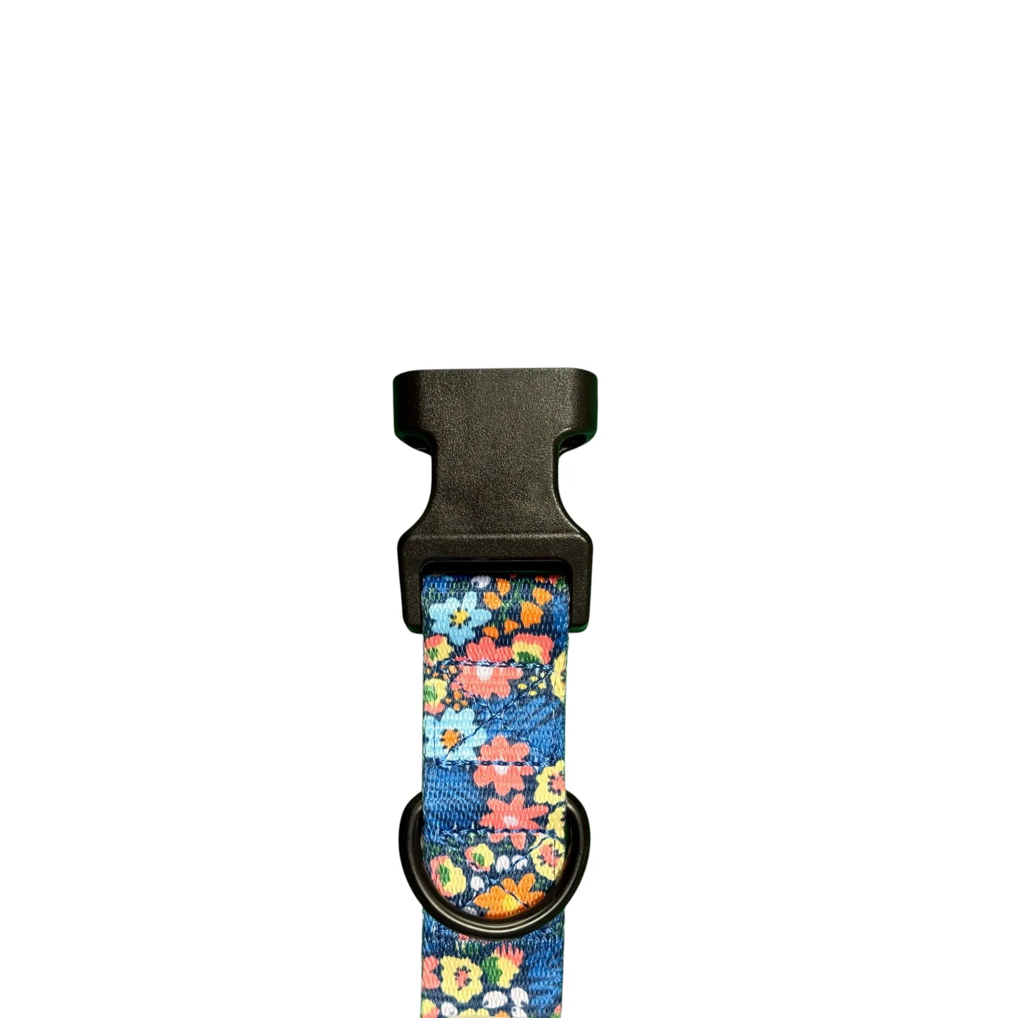 OVZLA Dog Collar
