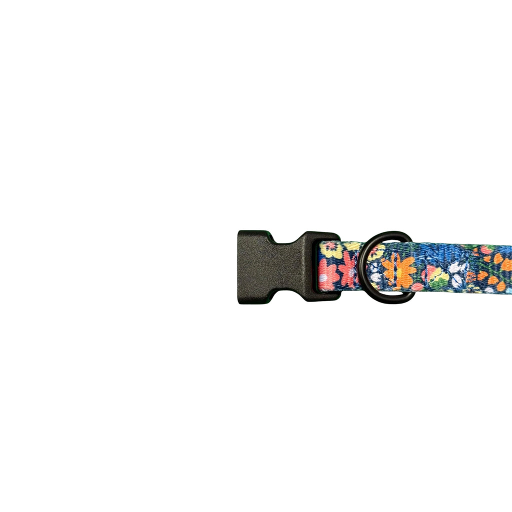 OVZLA Dog Collar