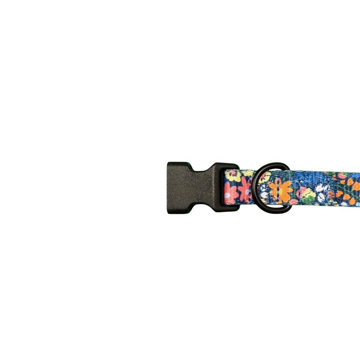 OVZLA Dog Collar