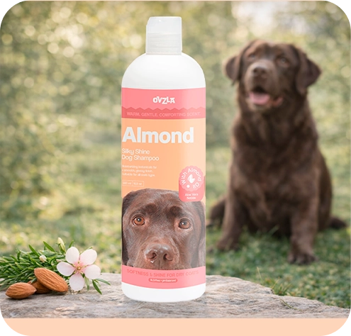 OVZLA Almond Dog Shampoo – Silky, Shiny Coat for Every Dog