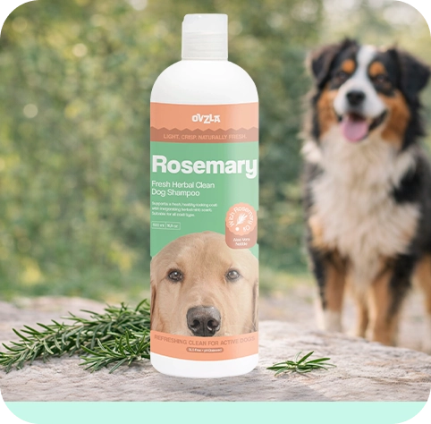 OVZLA Rosemary Dog Shampoo – Refreshing Clean for Active Dogs
